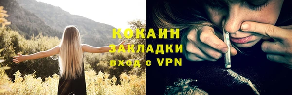 ПСИЛОЦИБИНОВЫЕ ГРИБЫ Арсеньев