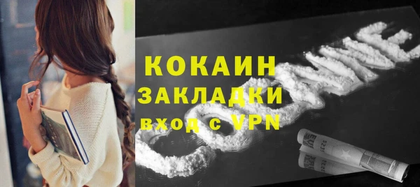 ПСИЛОЦИБИНОВЫЕ ГРИБЫ Арсеньев