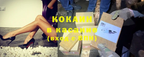 ПСИЛОЦИБИНОВЫЕ ГРИБЫ Арсеньев