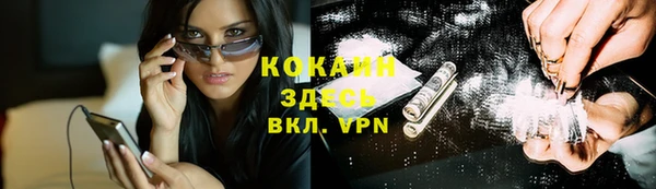 ПСИЛОЦИБИНОВЫЕ ГРИБЫ Арсеньев