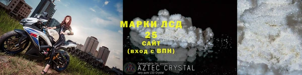 ПСИЛОЦИБИНОВЫЕ ГРИБЫ Арсеньев