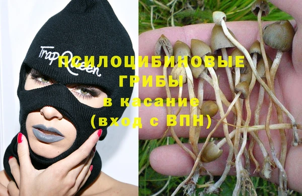 прущая мука Армянск