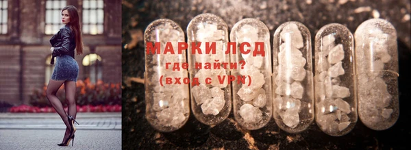 ПСИЛОЦИБИНОВЫЕ ГРИБЫ Арсеньев