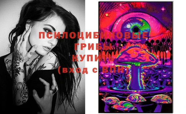 молекула духа Аркадак